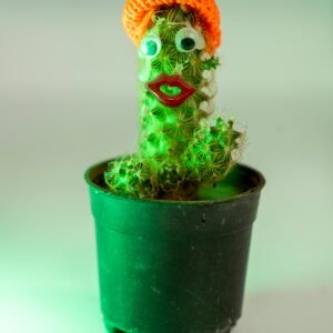 Dancing & Talking Cactus Toy
