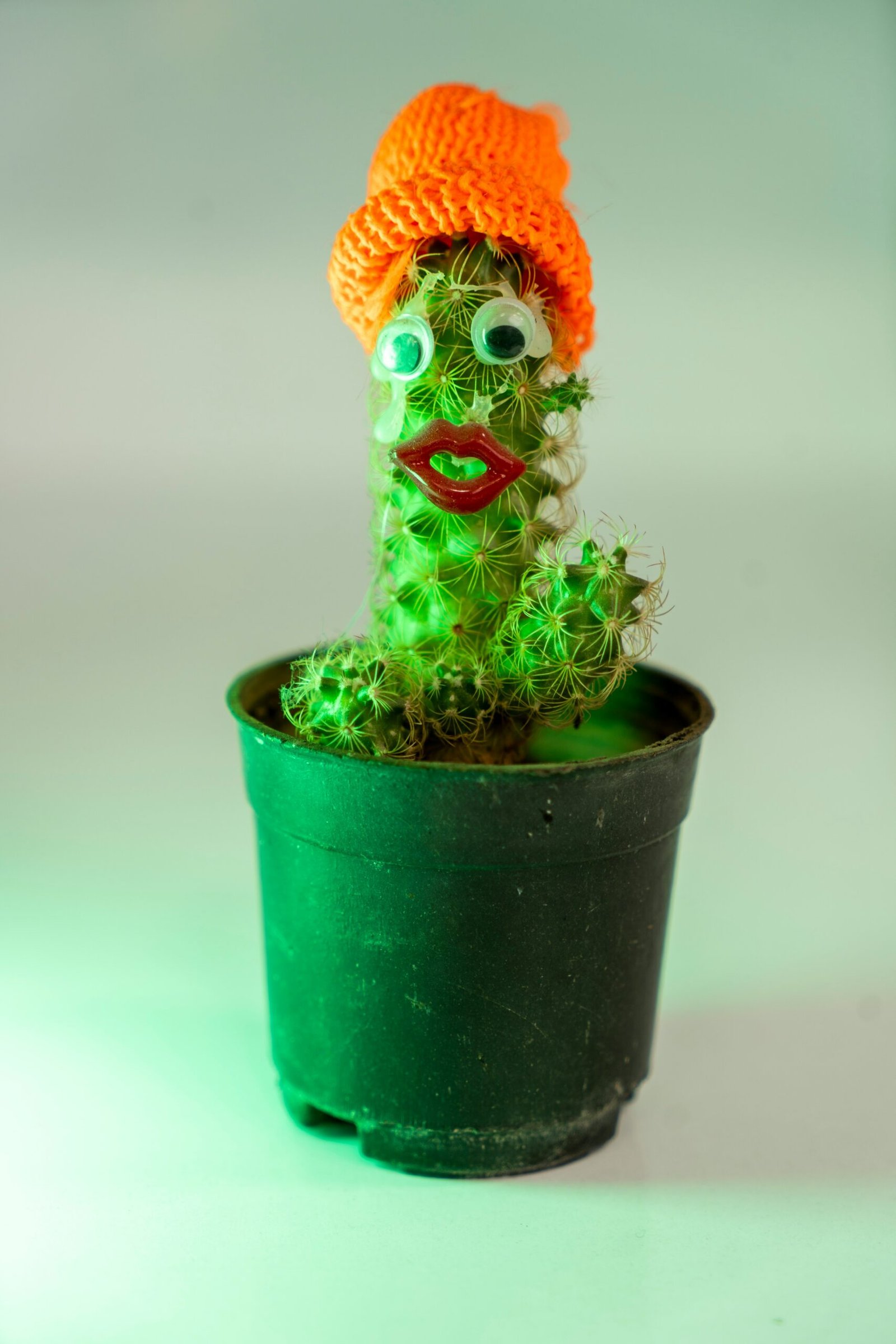 Dancing & Talking Cactus Toy